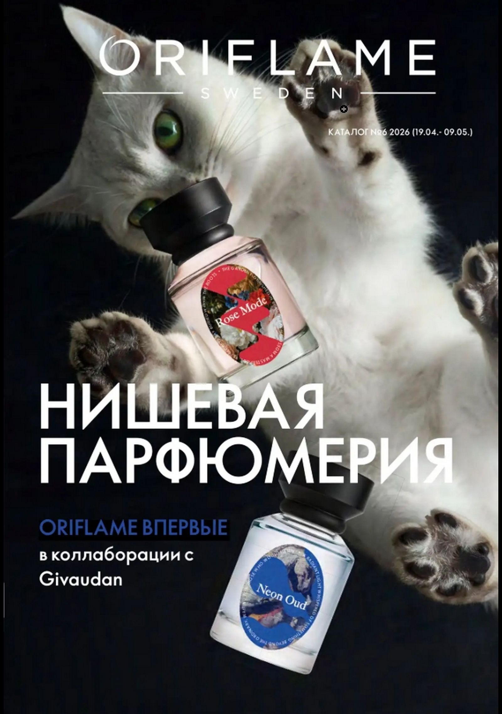 Новый каталог 6 2026